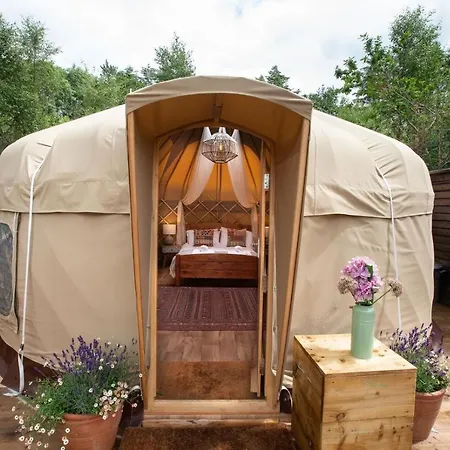 Lodge Yurtshire Eavestone - Birch Yurt