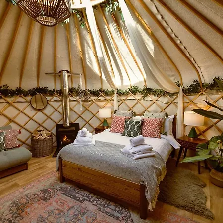 Lodge Yurtshire Eavestone - Birch Yurt Ripon