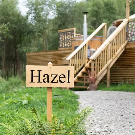 Orman Evi Yurtshire Eavestone - Birch Yurt Ripon