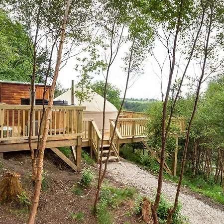 Lodge Yurtshire Eavestone - Birch *
