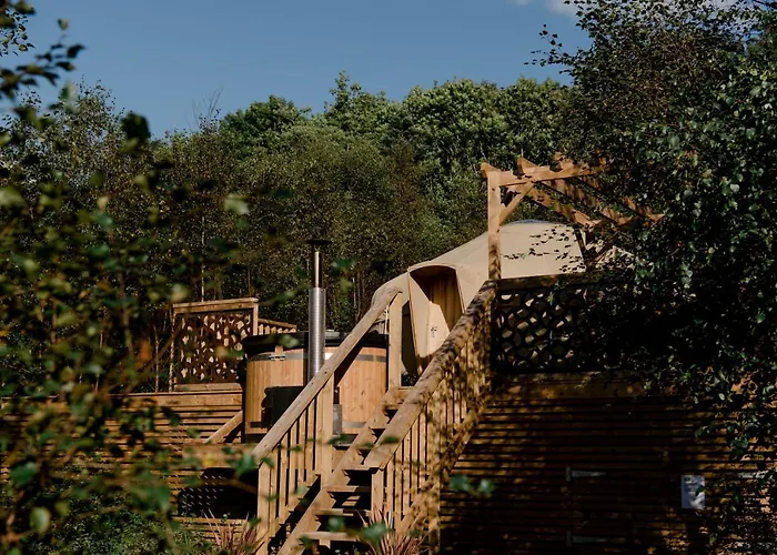Lodge Yurtshire Eavestone - Birch Yurt Ripon