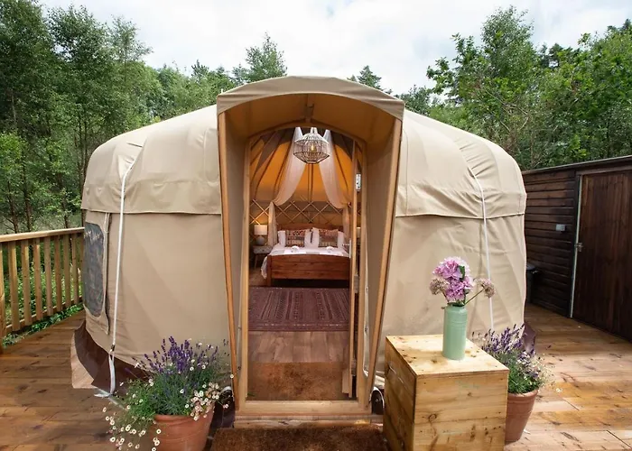 Lodge Yurtshire Eavestone - Birch Yurt