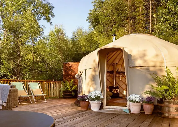 Yurtshire Eavestone - Birch Yurt *