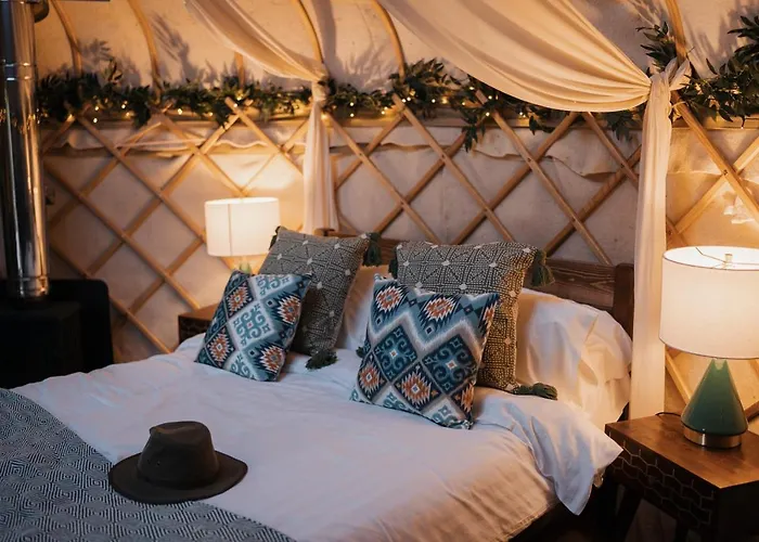 Lodge Yurtshire Eavestone - Birch Yurt Ripon