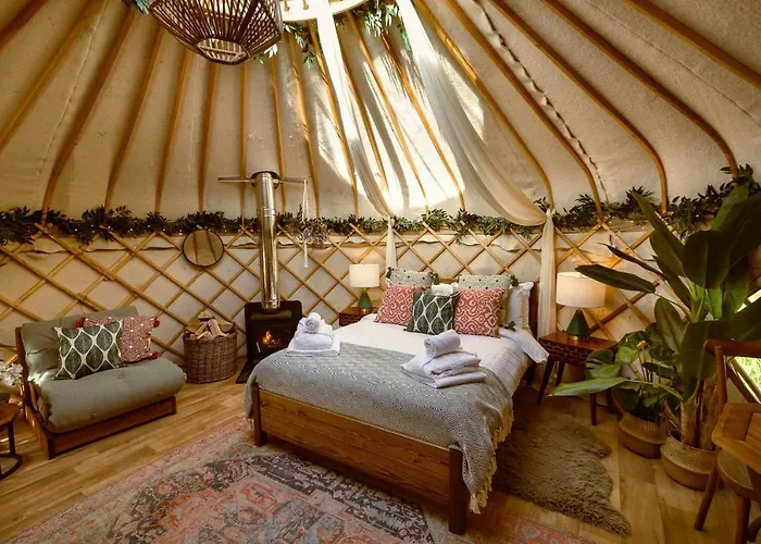 Lodge Yurtshire Eavestone - Birch Yurt Ripon