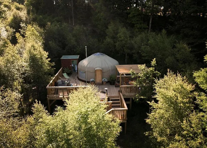 Yurtshire Eavestone - Birch Yurt Lodge Ripon