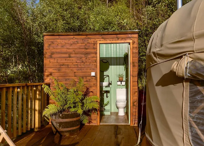 Lodge Yurtshire Eavestone - Birch Yurt